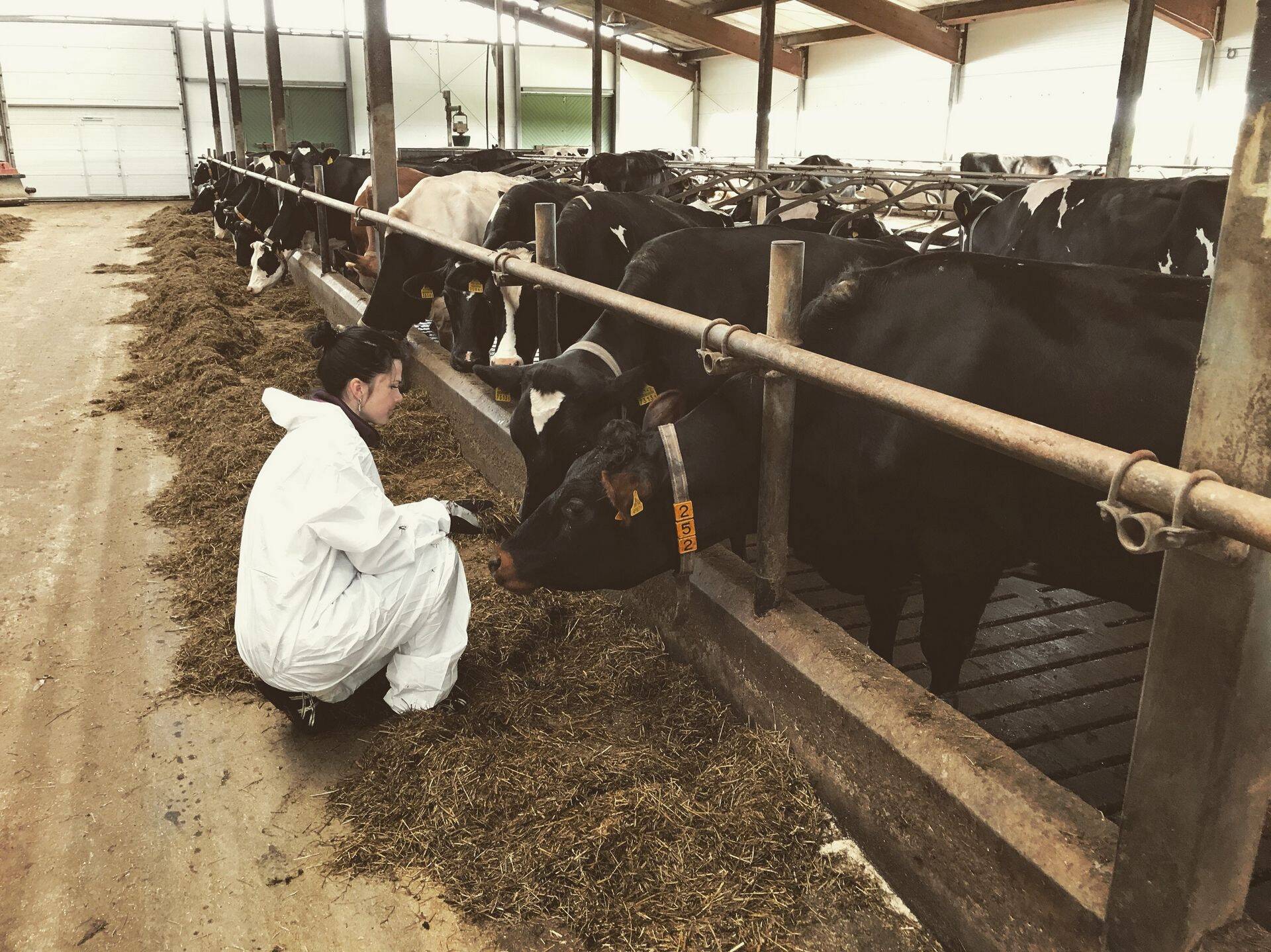 Kerli Ats: enda eest tuleb seista