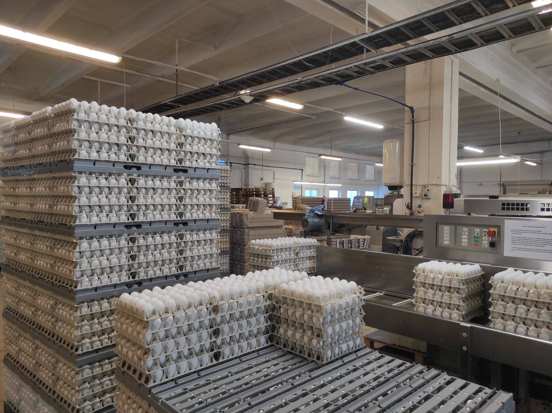 Dava Foods Estonia on Eesti suurim munatootja.