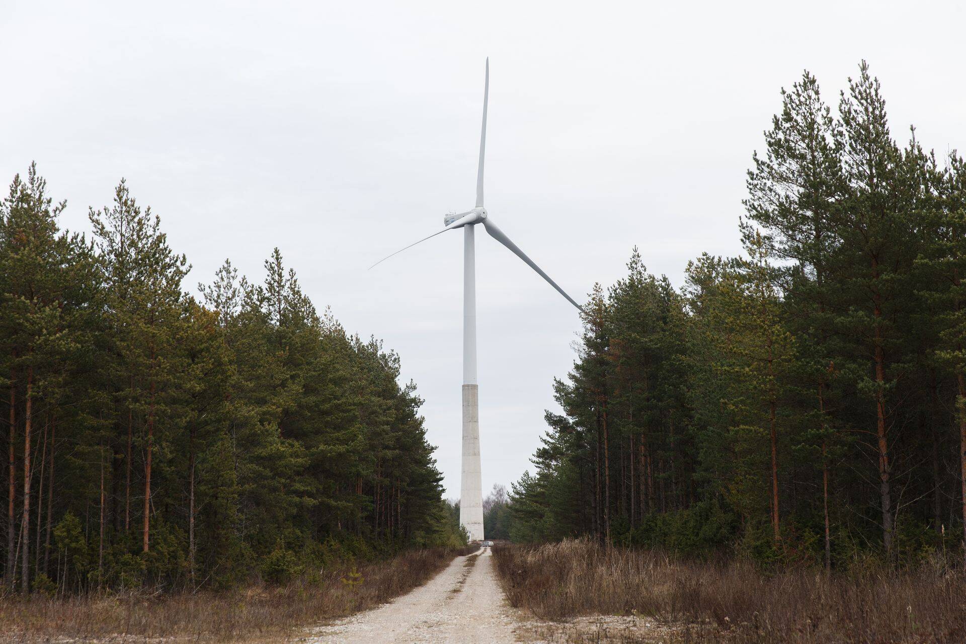 Läänemaal Hanila vallas Rõustes, Esivere külas asuv 12 MW võimsusega tuulepark.