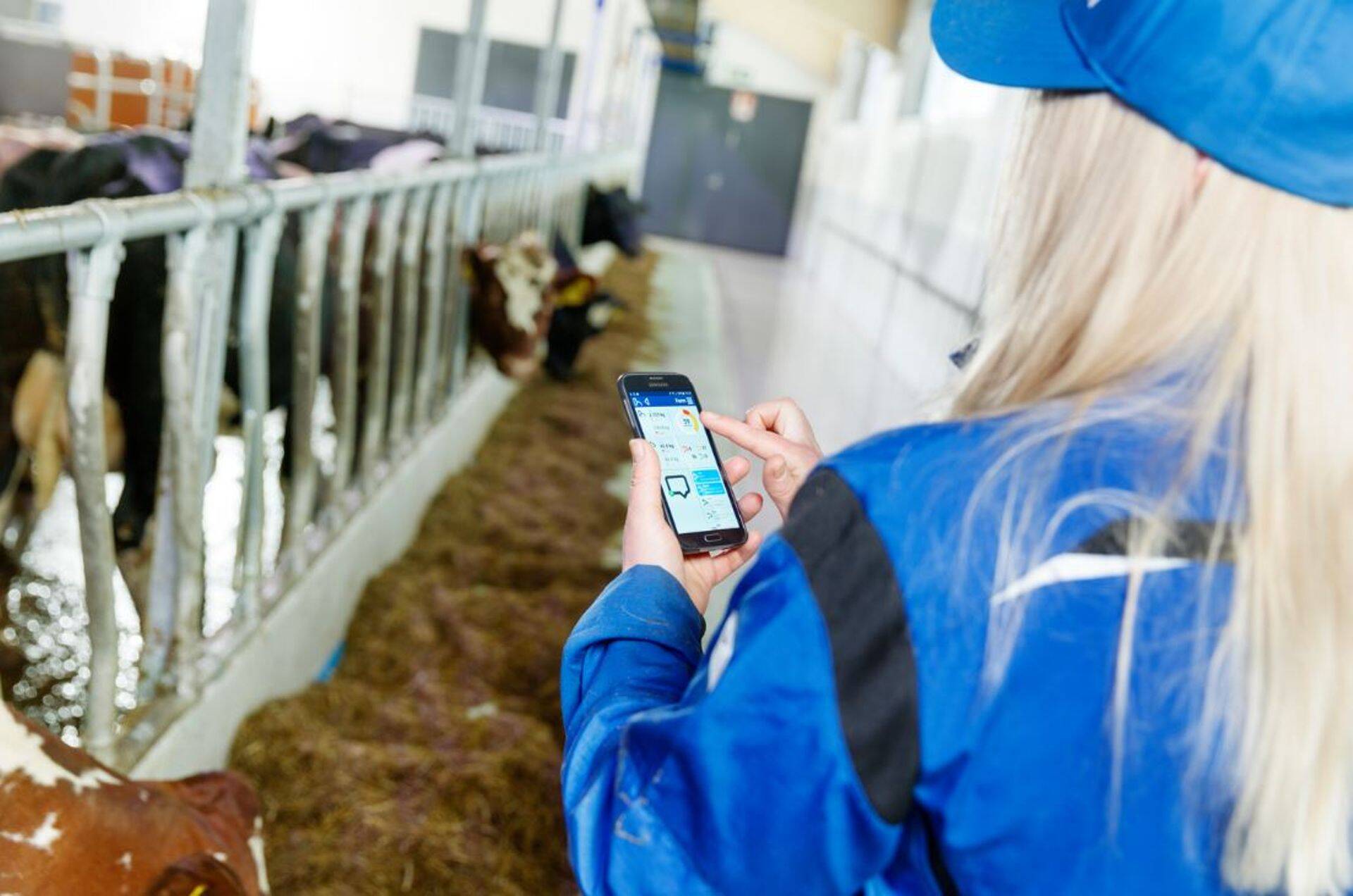DelPro üheks eeliseks on mobiilirakendused, mis võimaldavad kogutavast informatsioonist saada ülevaate reaalajas olenemata asukohast.