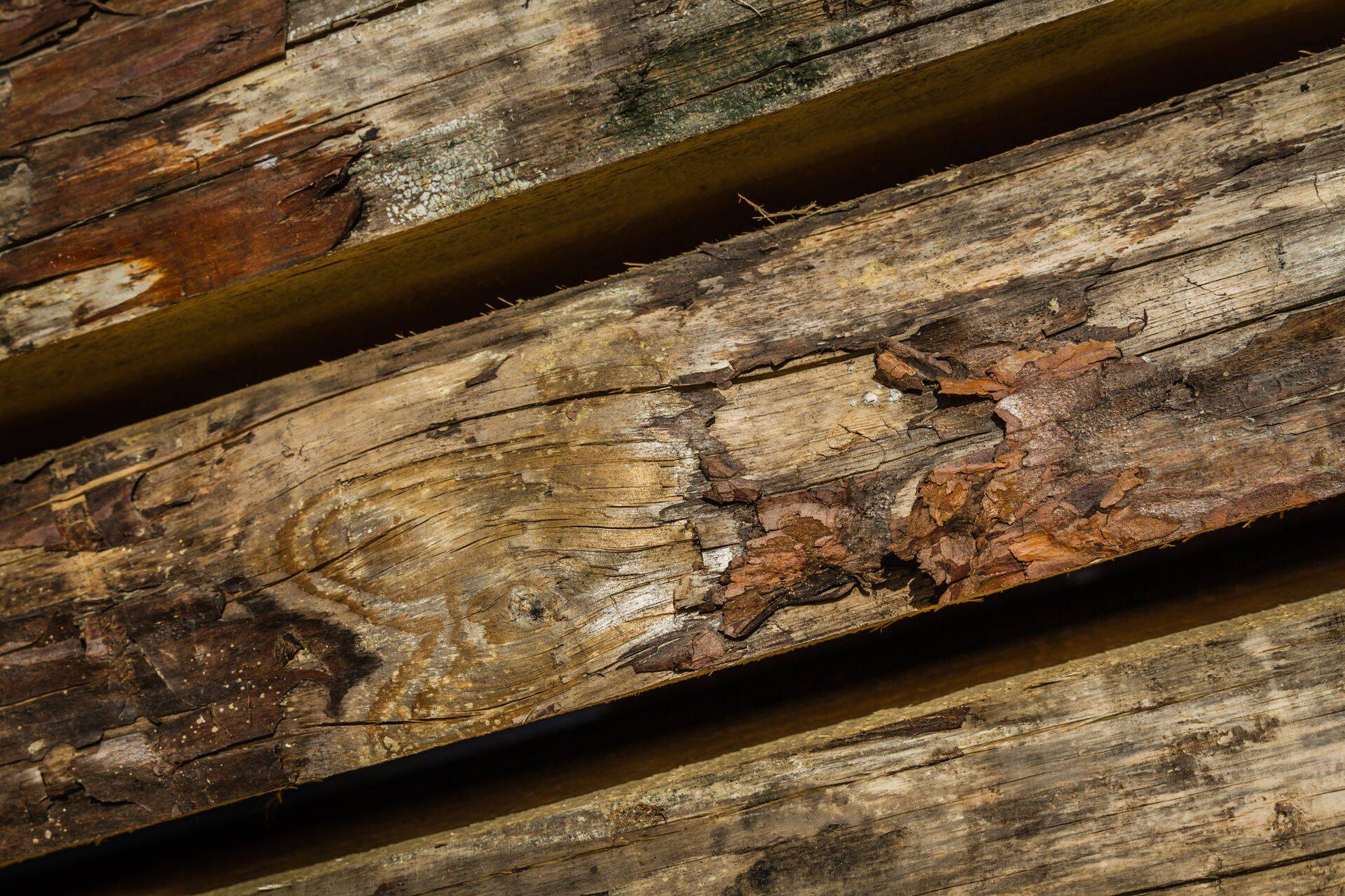 Puitmajaehitaja Greencube omanik Henri Bekmann räägib, kui lihtne on leida Tallinnast väljaspool töökäsi.