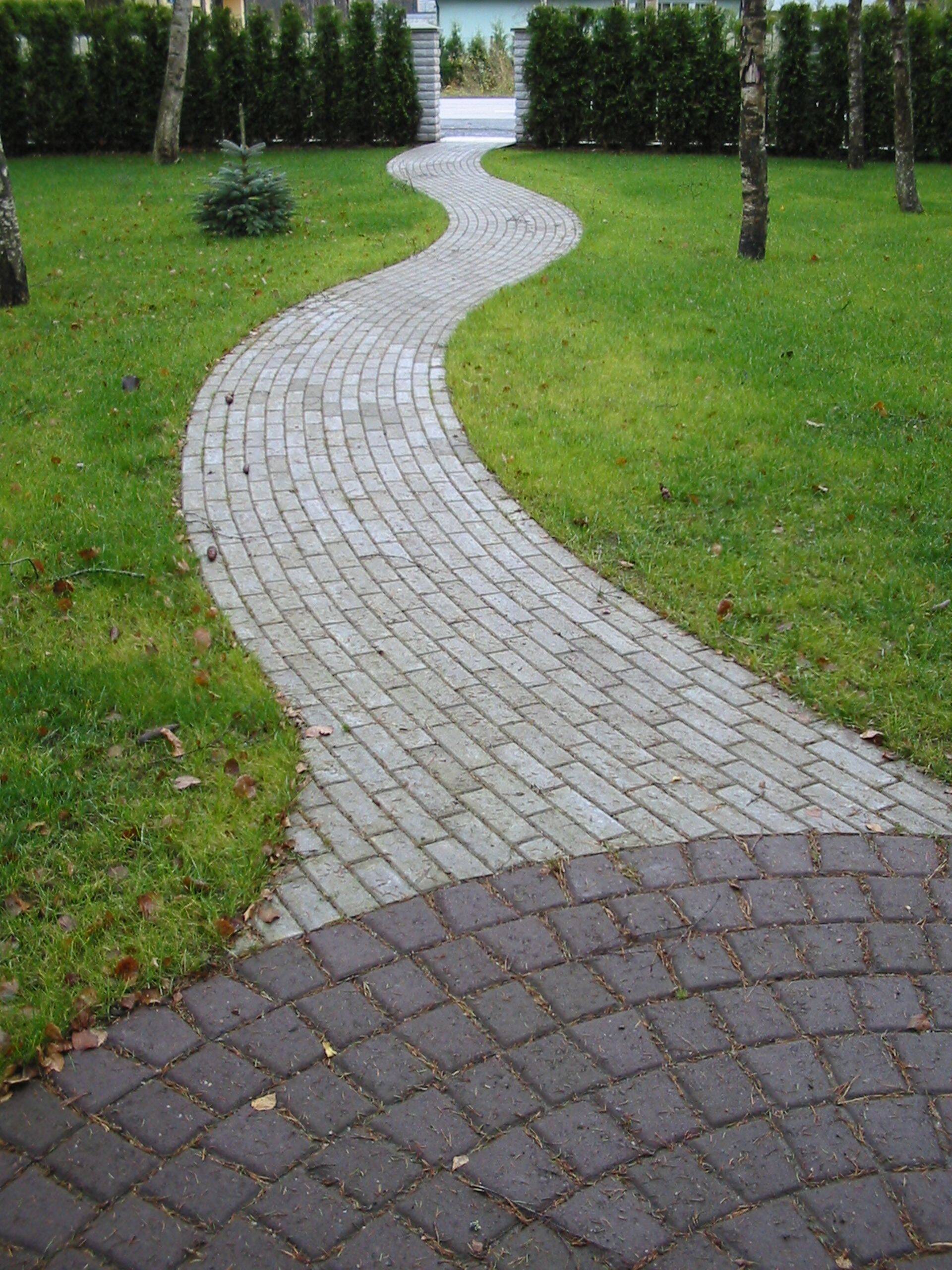 Avi Haljastus ehitab aedu ja piirdeid, paigaldab kiviteid ja -sillutist, ehitab terasse ja abihooneid ning pakub haljastuse rajamist ja hooldusteenust