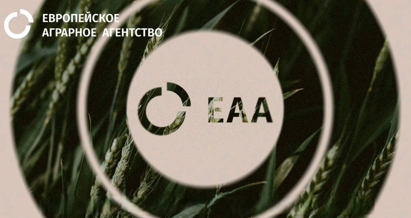 «Сейчас бизнес минимальный. То ковид был, то санкции, то еще что-то, то приехать в Эстонию нельзя», – говорит совладелец эстонской компании.