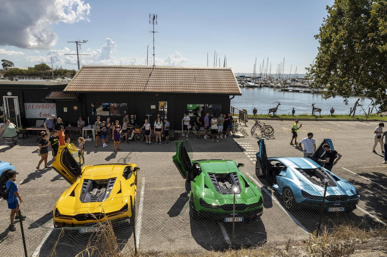 Eri karva Lamborghini Revueltod