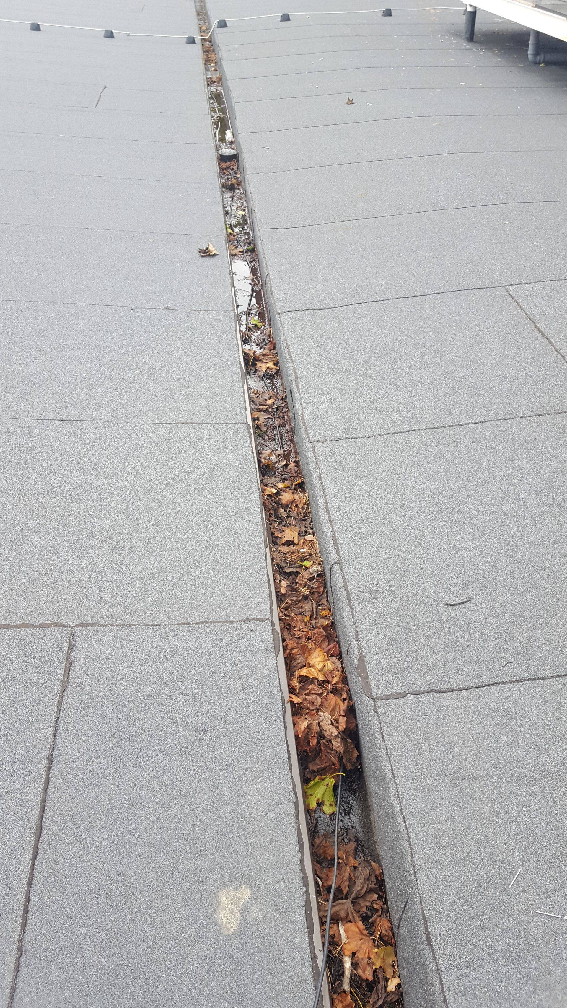 Vihmaveesüsteemide hooldust võiks teha kaks korda aastas.