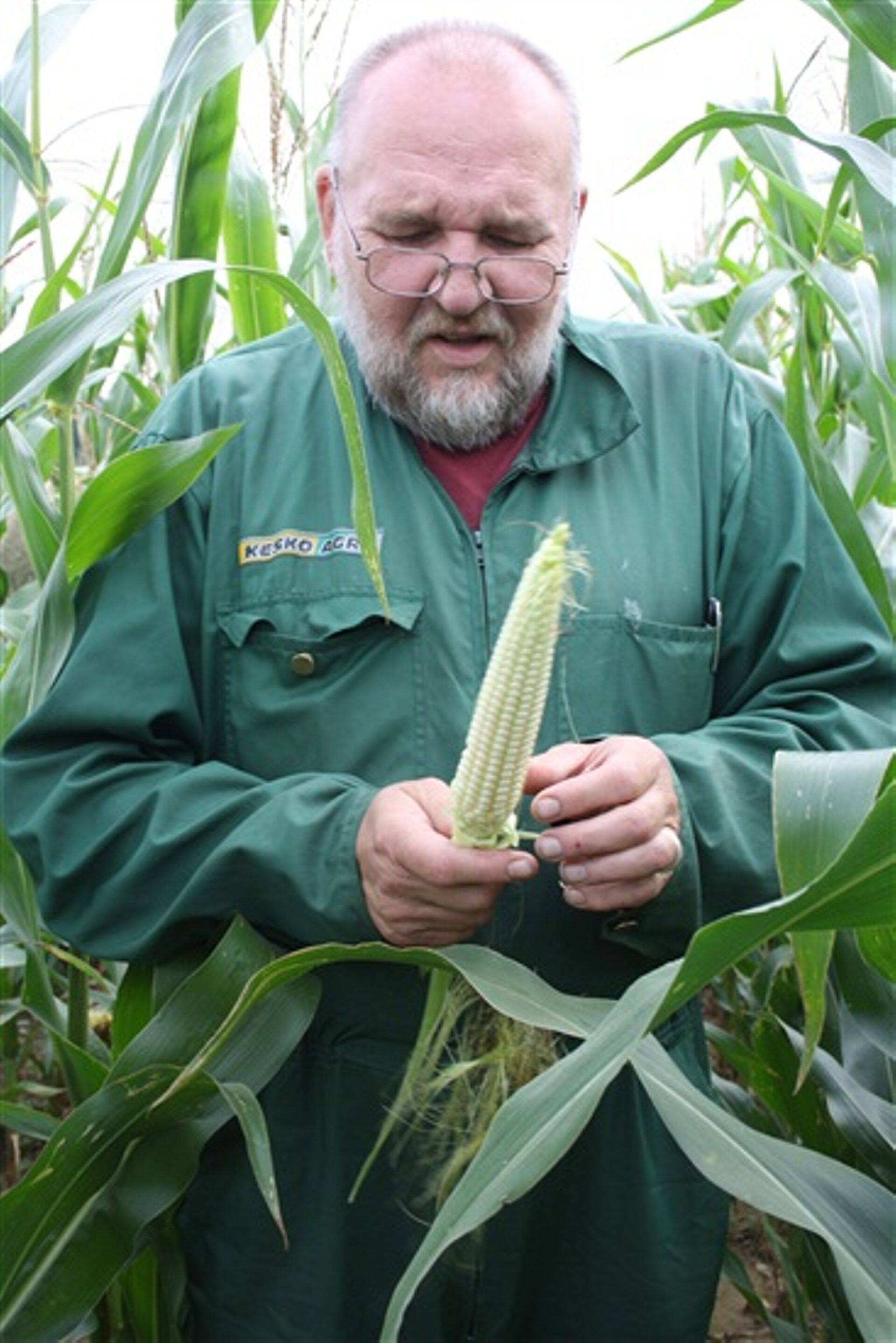 Tammsaare OÜ agronoom Kalju Karusion