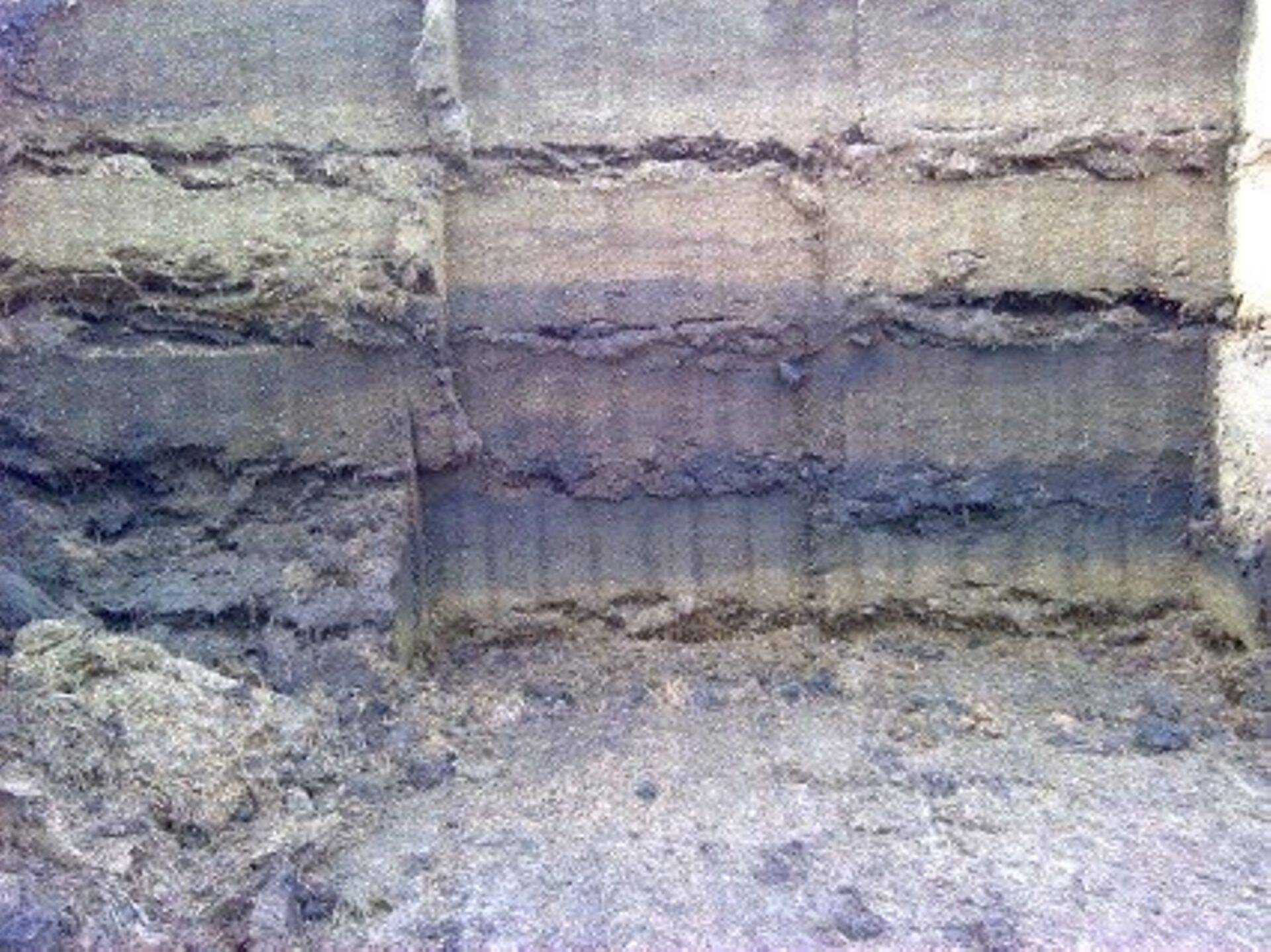 Silo tallamine