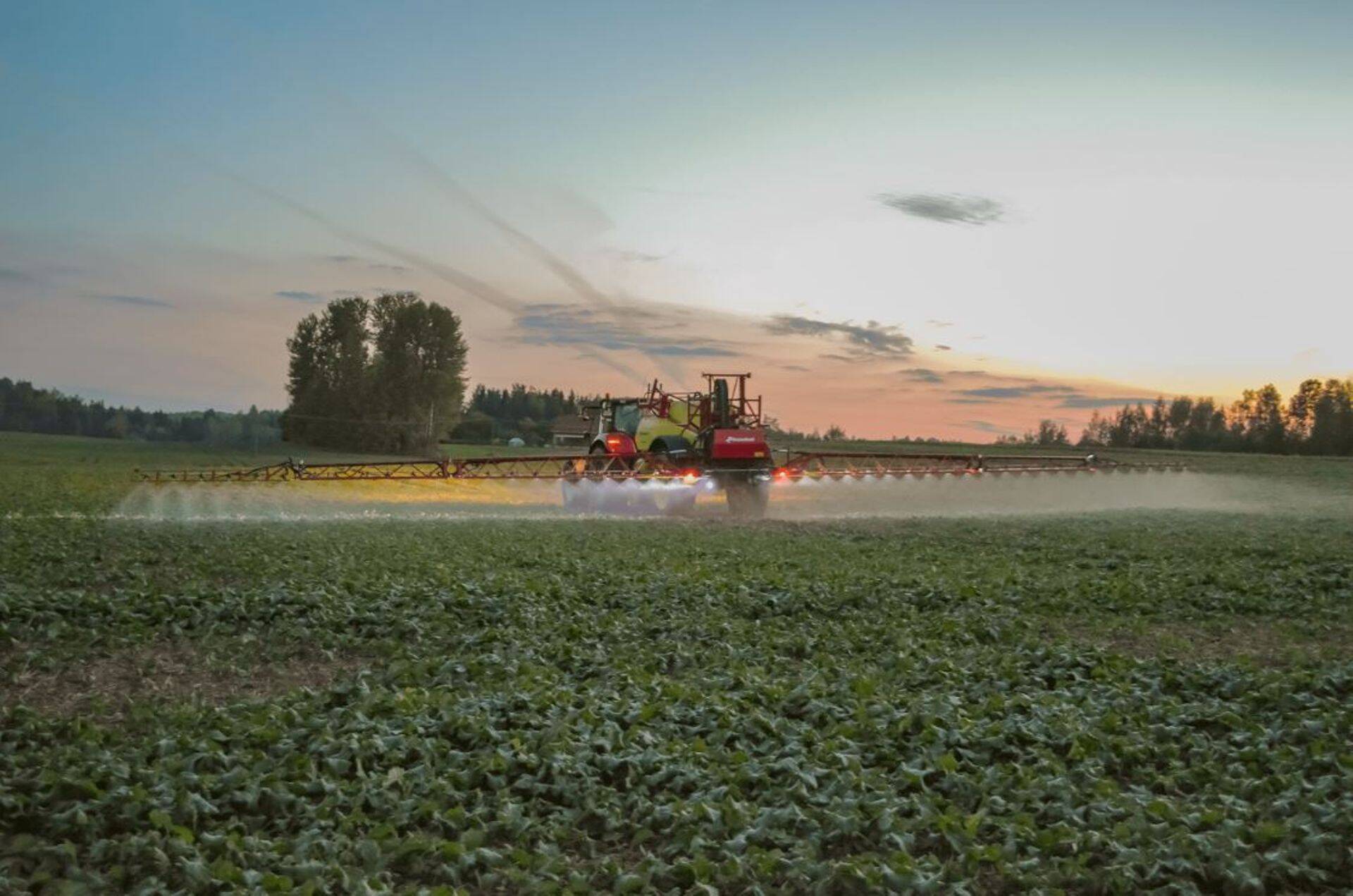 Lisaks talirapsi kasvureguleerimisele ning taliteraviljade sügisesele umbrohutõrjele, on sobilik ja vajalik kasutada ka leheväetisi.