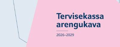 Arengukava toob välja praegused probleemid ja lahenduse fookusvaldkonnad.