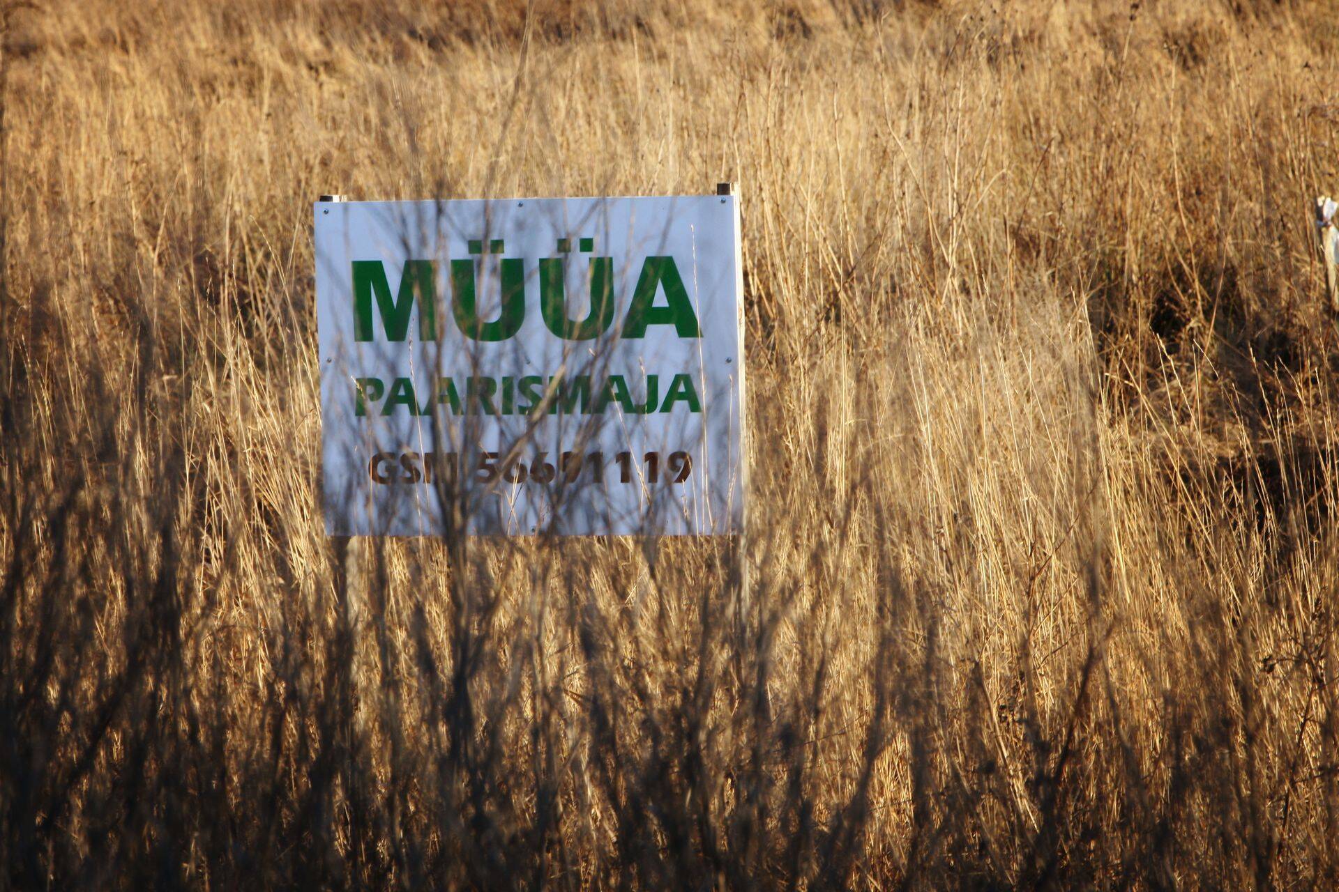 Haaberstis on müüdud ka uusarendusi, ent pigem liiguvad sealsel turul siiski vanemad eluhooned.
