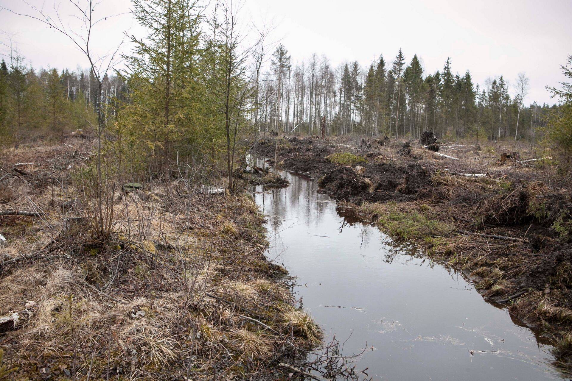 Maaparandussüsteemi investeeringute elluviimise tähtaega pikendatakse