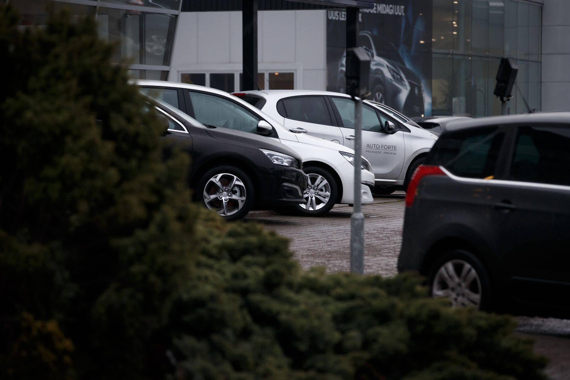 Kuristikku kukkunud automüük hakkab taastuma