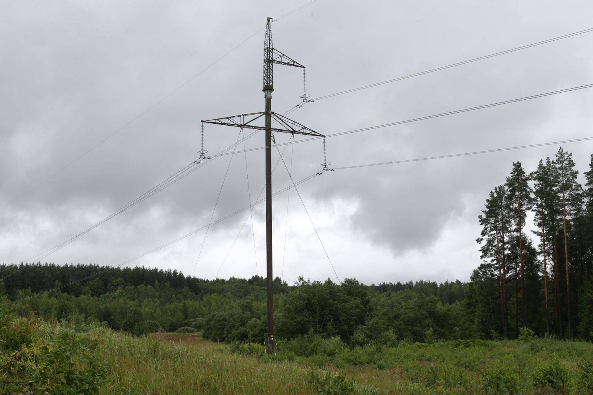 Toodang kasvas energeetikas.