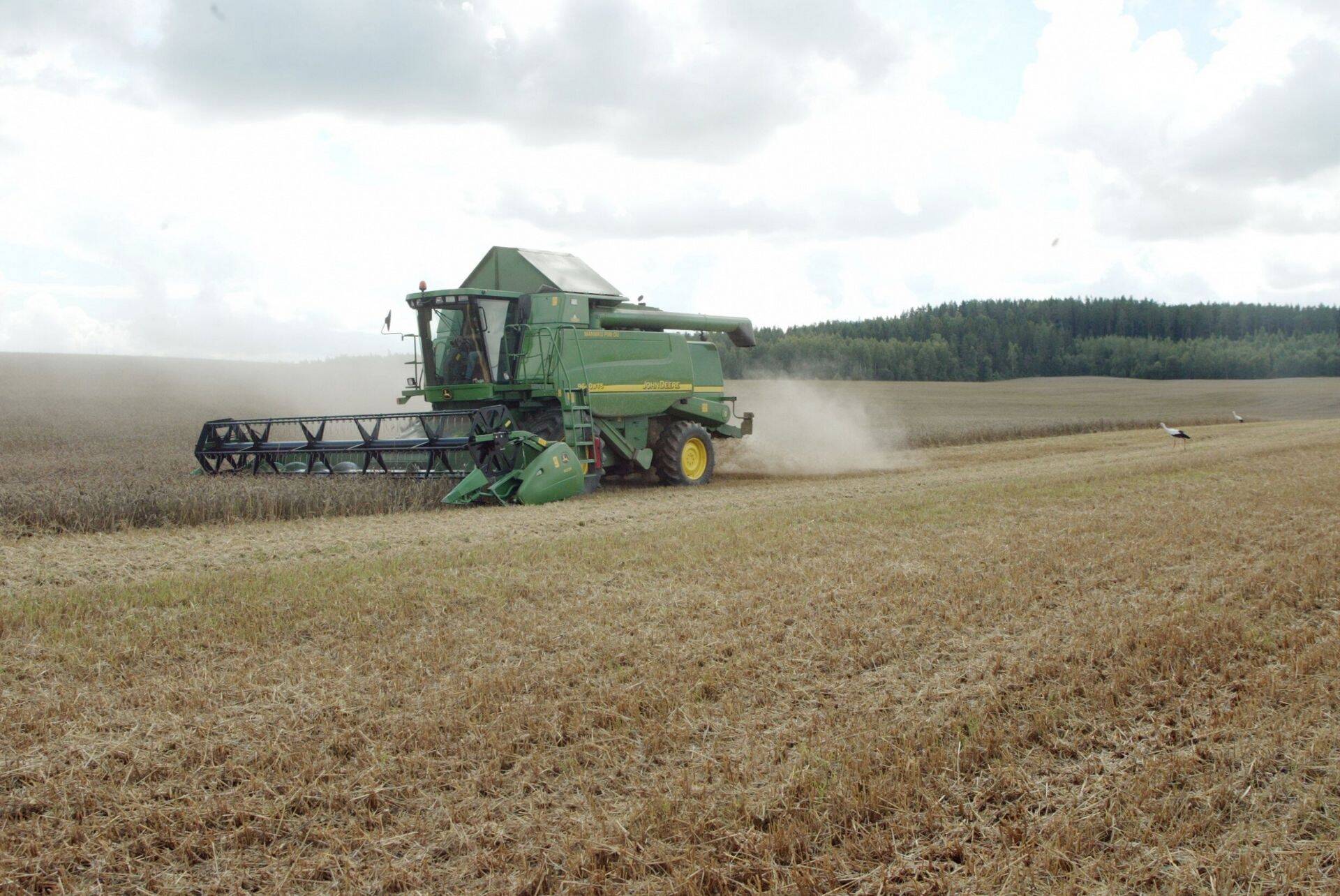 Nnsuturul on Venemaa domineerinud eelkõige müüki Egiptusesse