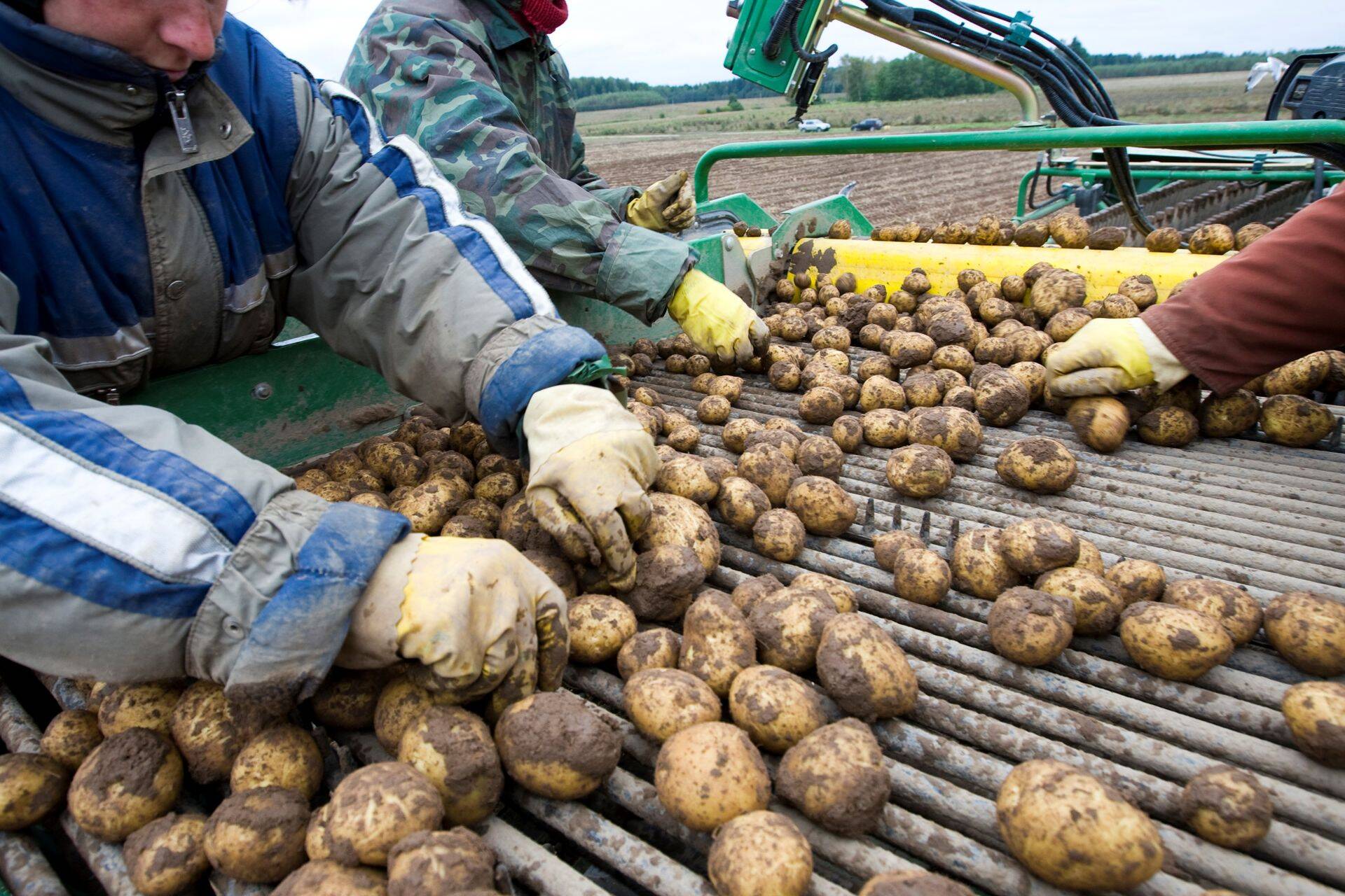 Иллюстративное фото.