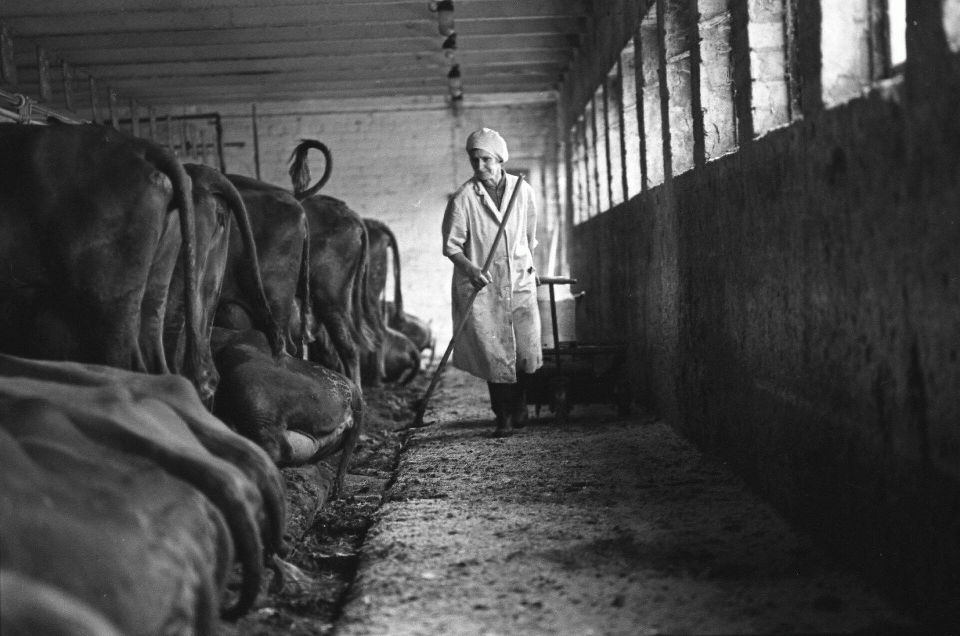 Eestimaa laut iseseisvusaja algul, aastal 1991.