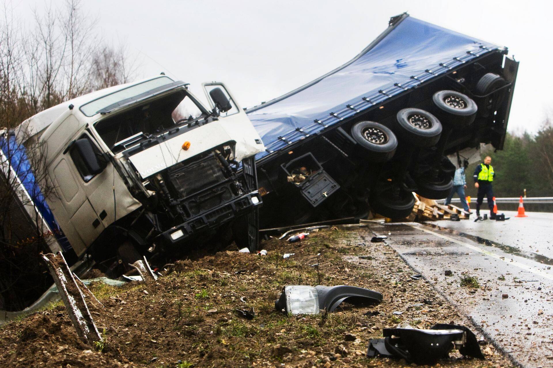 2011. aastal Saku vallas teepiirdesse sõitnud Poola veokist pudenes teele lastiks olnud koeratoit.