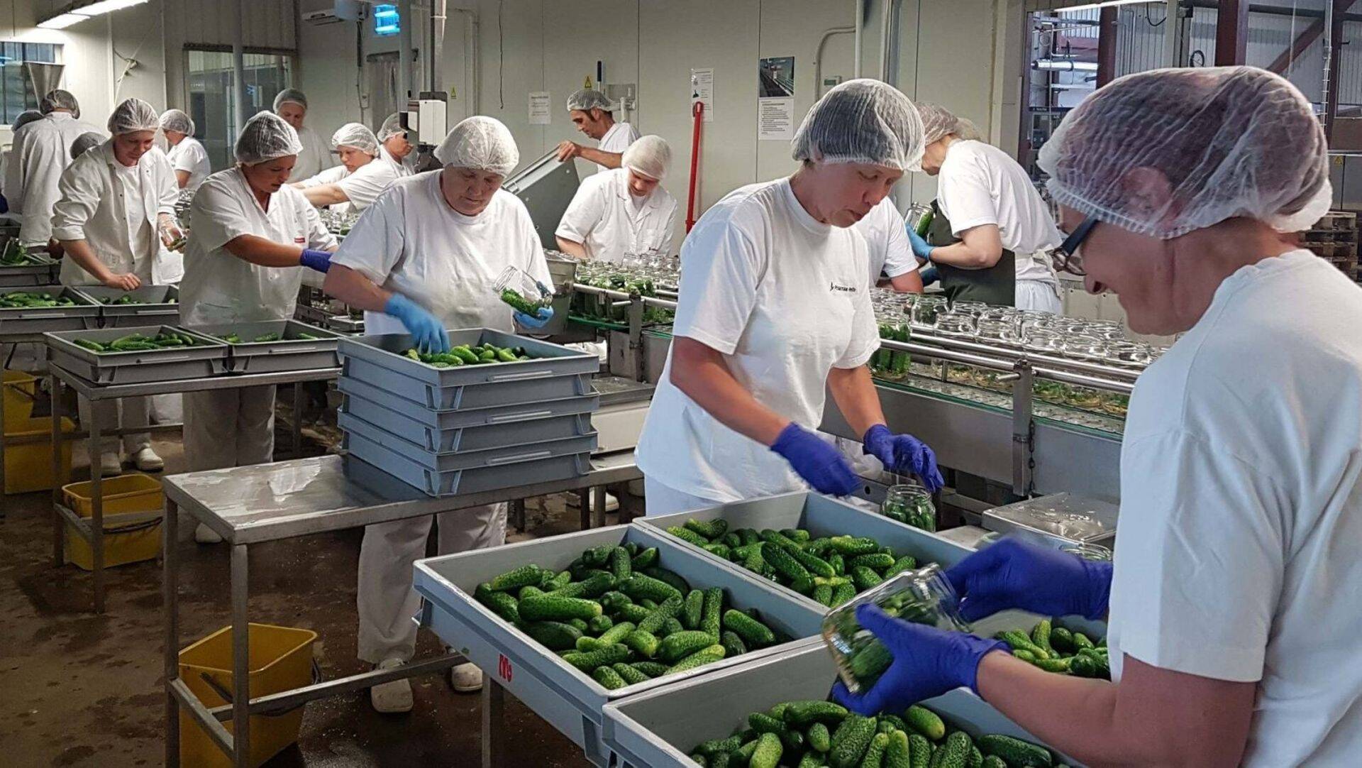 Ihaldusväärseimate tööandjate topis on ka toiduainetööstuse Orkla
