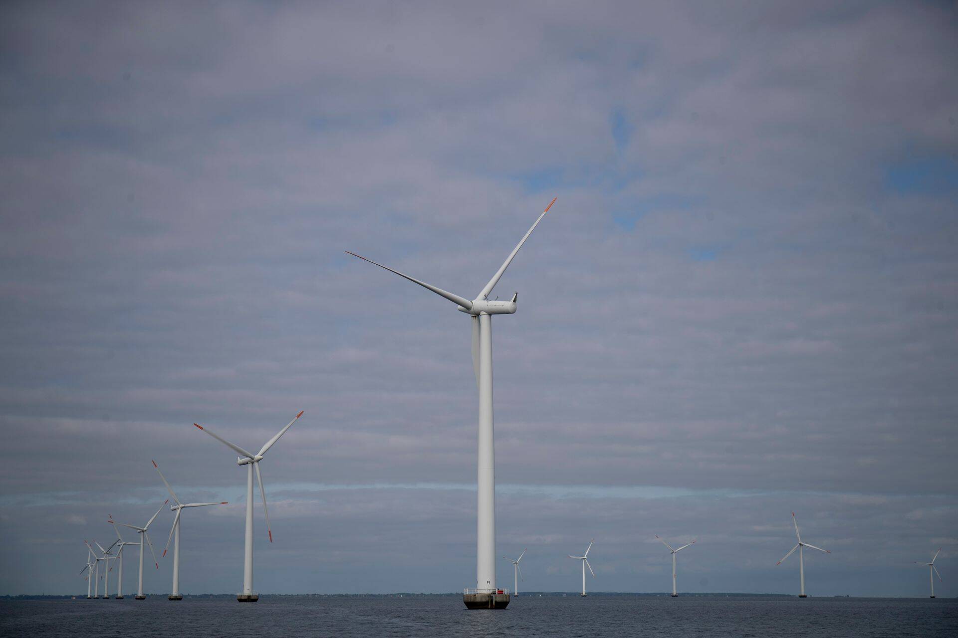 К 2030 году все потребности в электроэнергии должны удовлетворяться за счет чистой энергии.