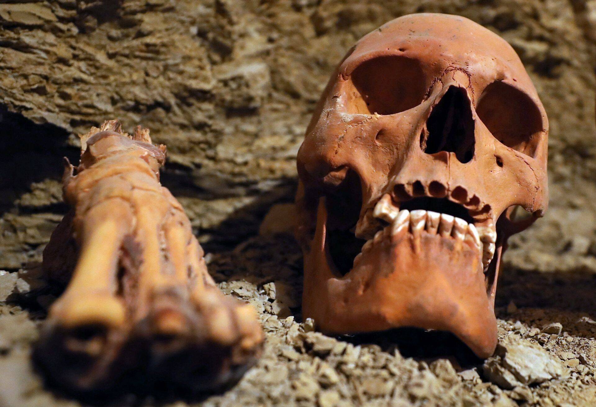 Tehnilised indikaatorid on kurjakuulutavad.