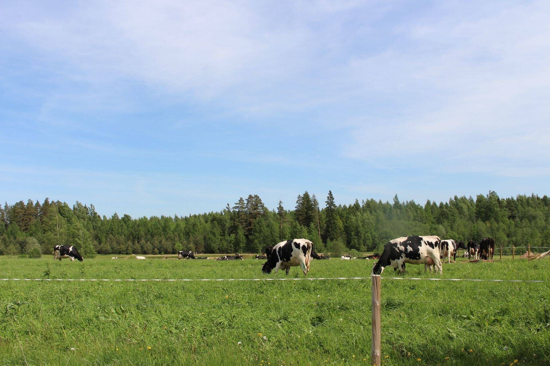 Püsirohumaid on vaja säilitada