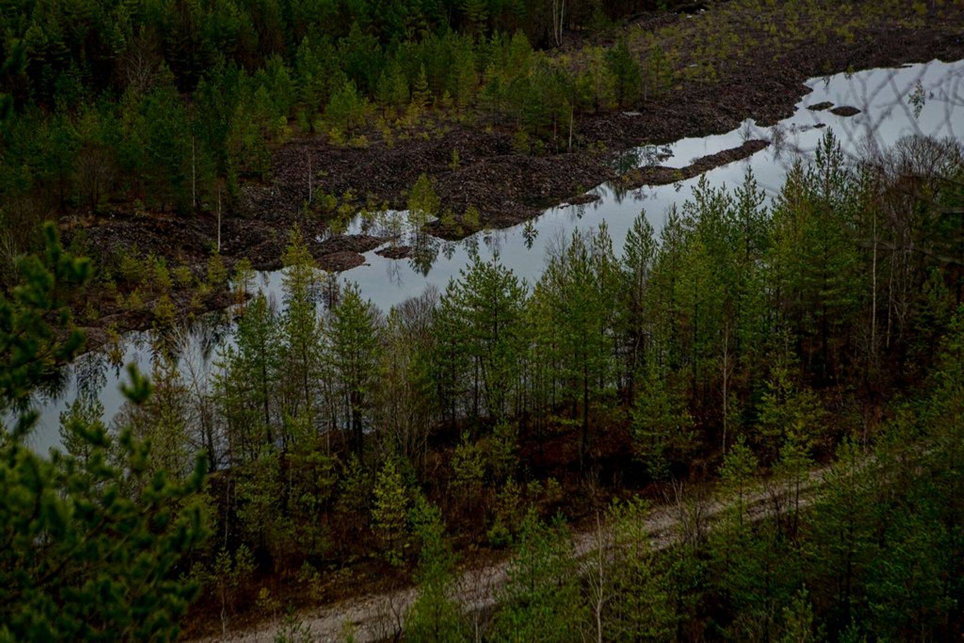 Metsamaade kokkuostjad kasutavad alatuid võtteid.