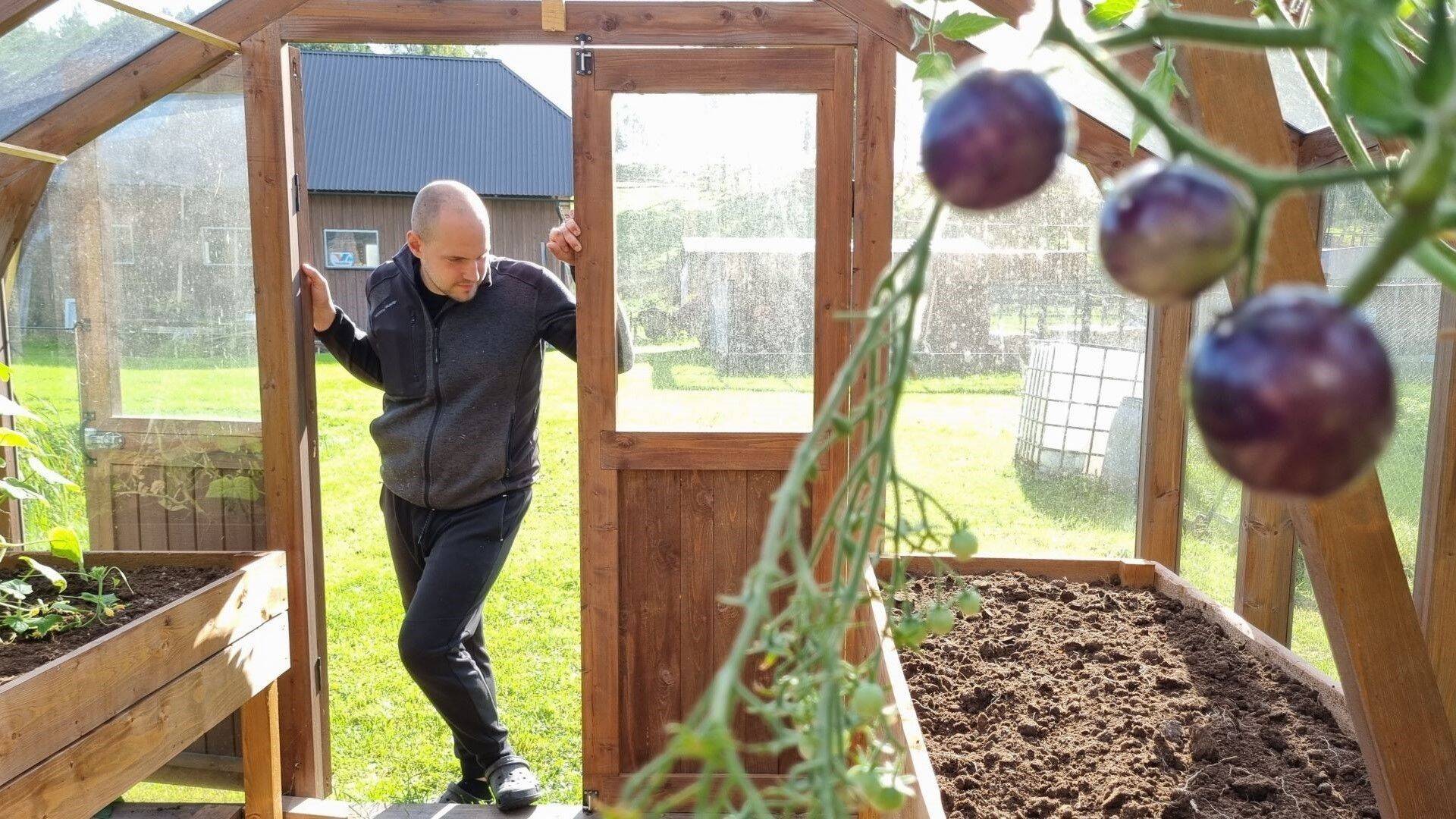 Создатель OÜ Saadus Кейво Кыйв ни разу не пожалел о своем решении уйти в бизнес, хотя момент был не самым подходящим, особенно для его продукта: «Большинство людей в трудные времена не станут вкладывать несколько тысяч евро в теплицу, скорее, отложат их на экстренный случай».