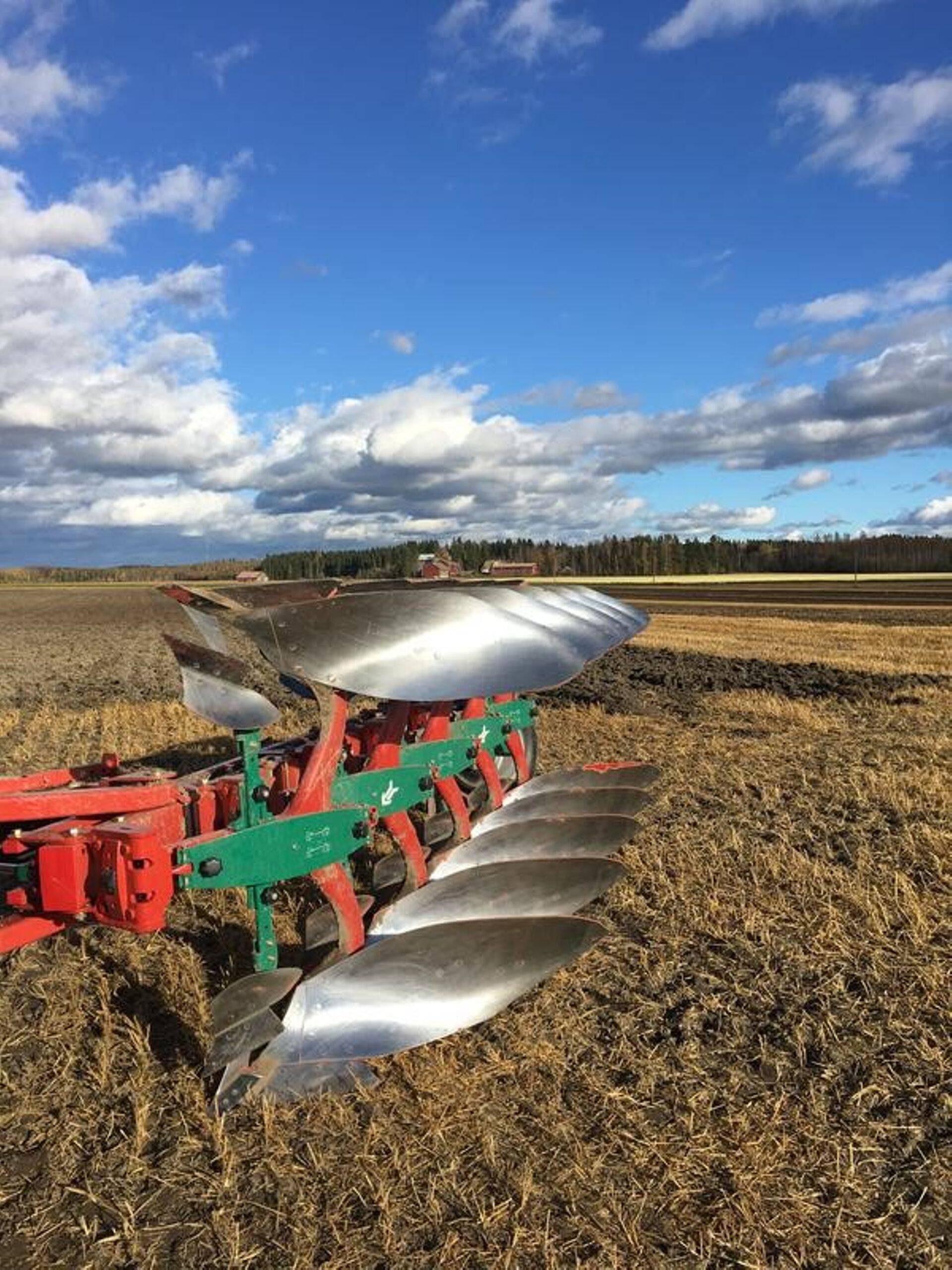 Kasutajatelt hea tagasiside