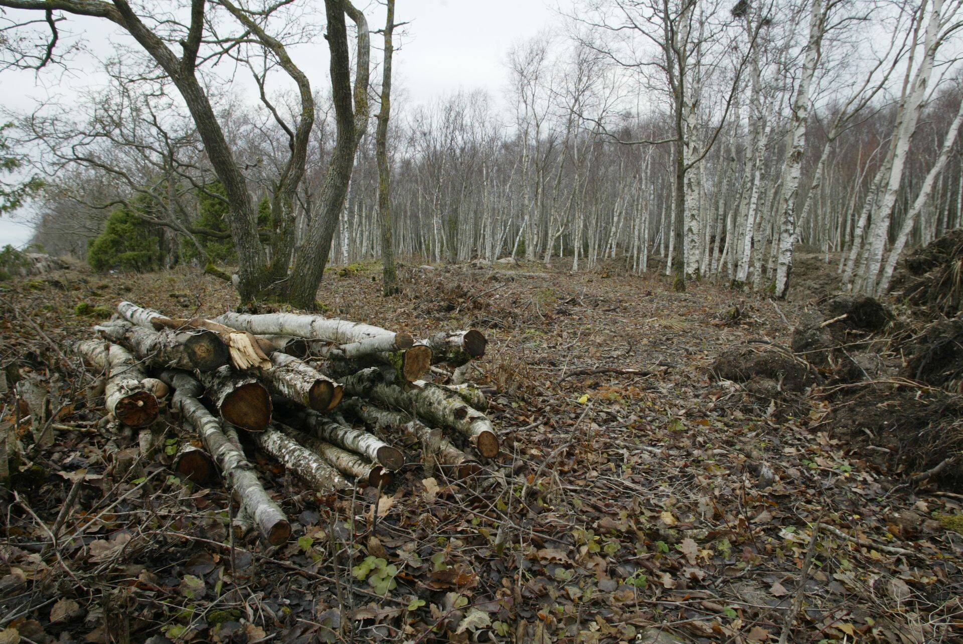 Maaturg ei ole viimasest kriisist oluliselt taastunud