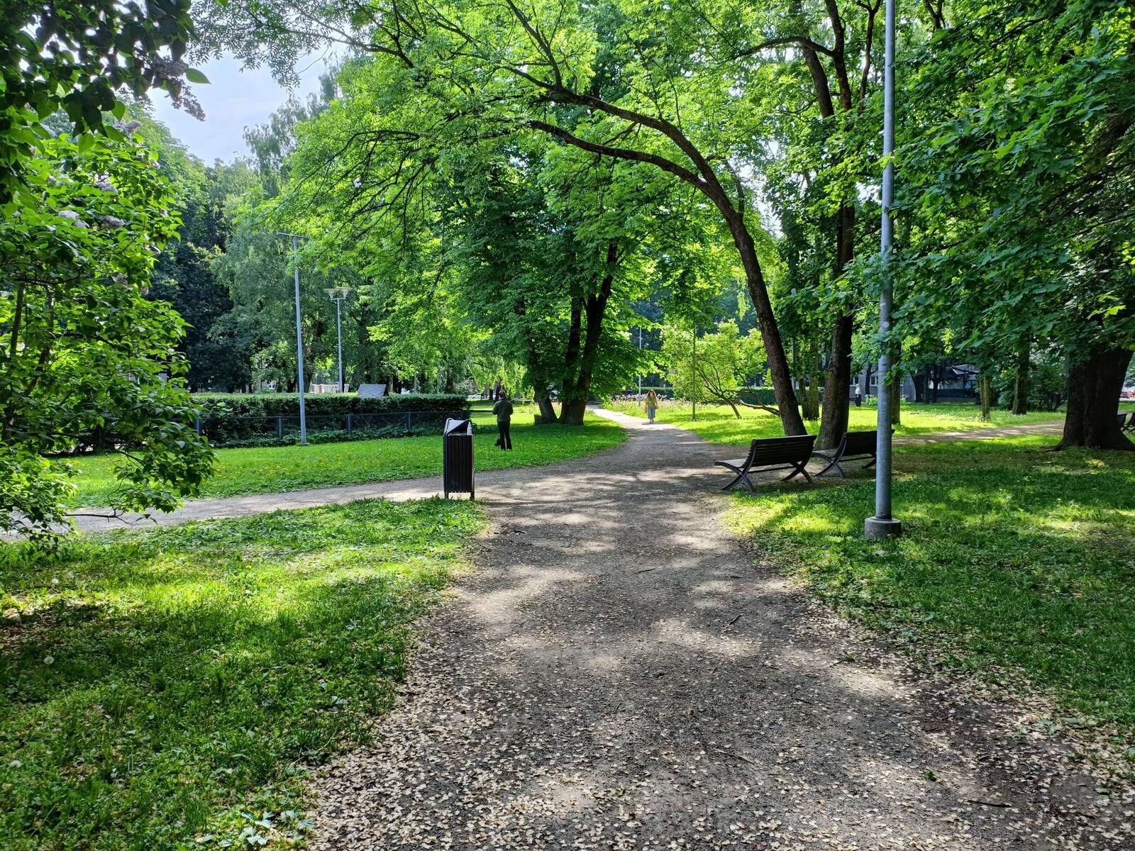 Lembitu park asub Lauteri tänava ääres.