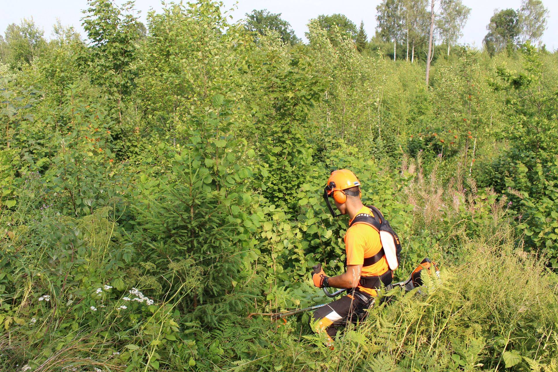 Valgustusraie on oluline ära teha õigel ajal