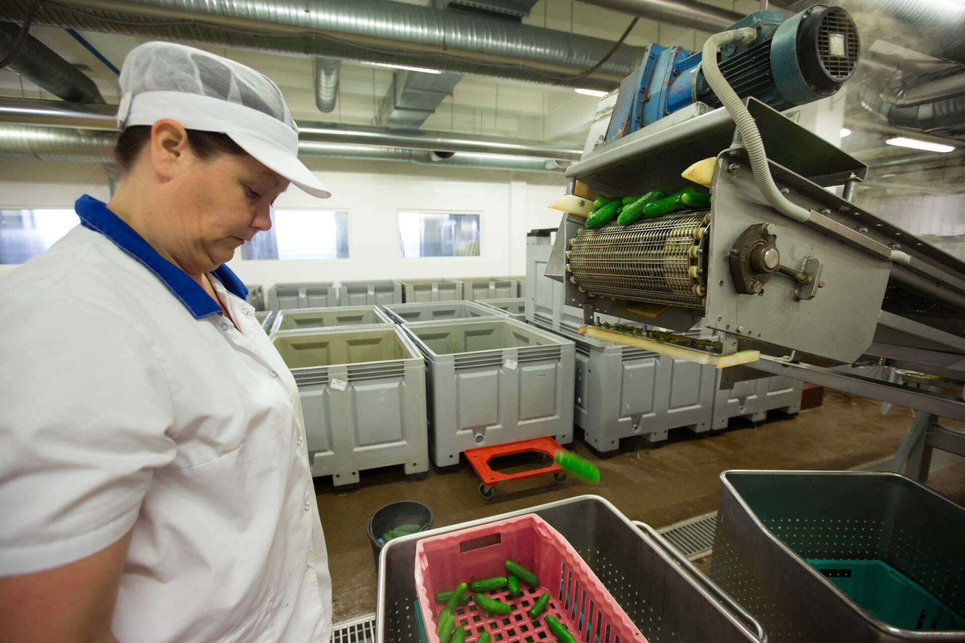 Kurgitegu Salvesti tehases.