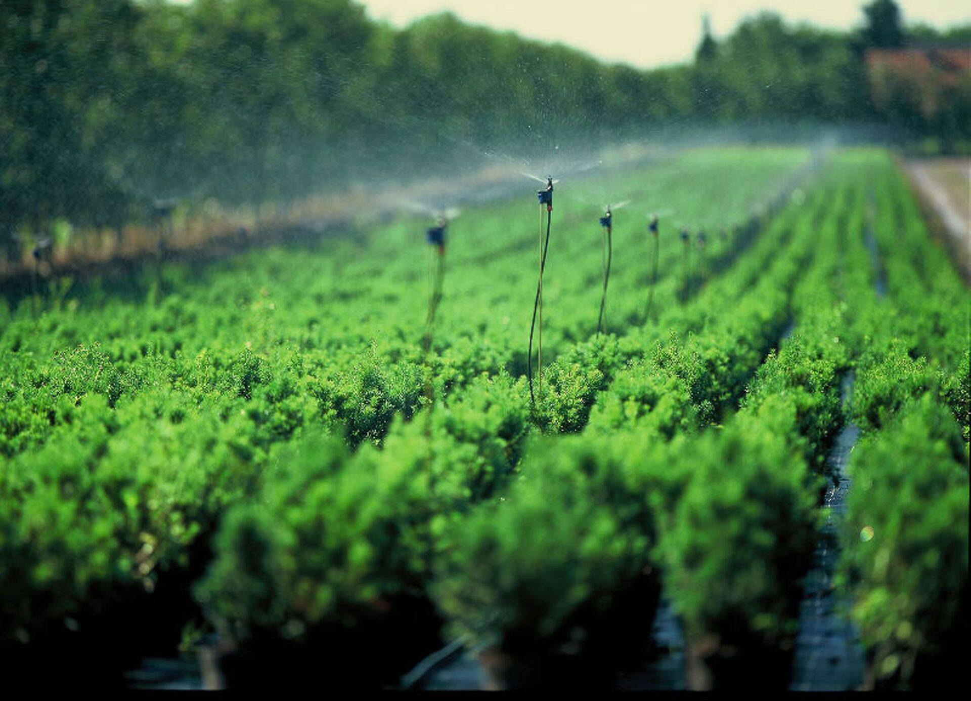 Baltic Agro messialalt leiab tehnilised lahendused kastmissüsteemidele ja kasvuhoonetele.