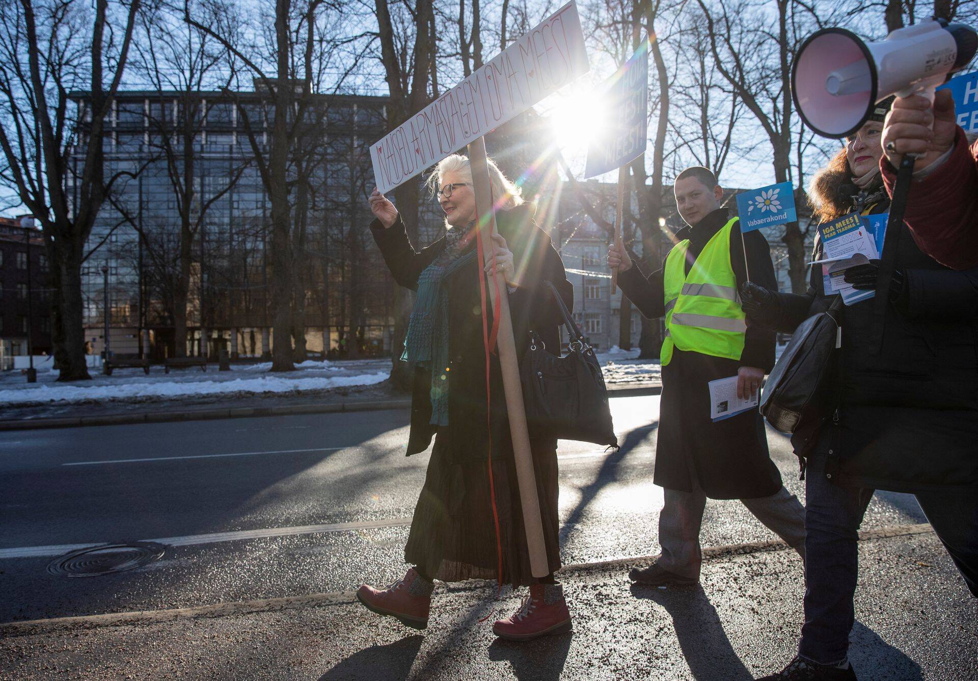 Eve Viidalepp, Vabaerakond, Lasnamäe, Kesklinna, Pirita piirkond.