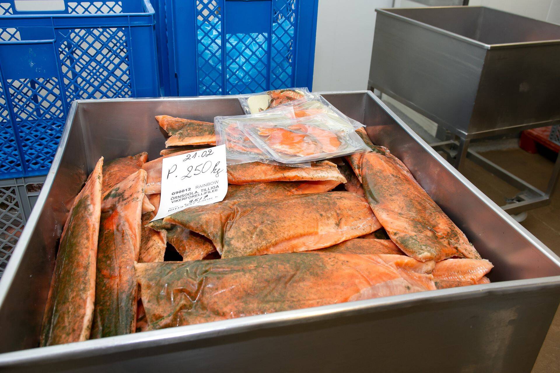 Kalatööstus ettevõte PRFoods plaanib lisaraha kaasata.