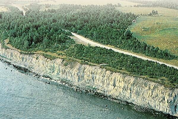 Viikingite meretee möödumine Saaremaa rannikult andis saarlastele võimaluse tegelda transiidi, tollimaksu kogumise ja rauakaubandusega. © Viktor Rudko, Jüri Vendelin / Saaremaa muuseum