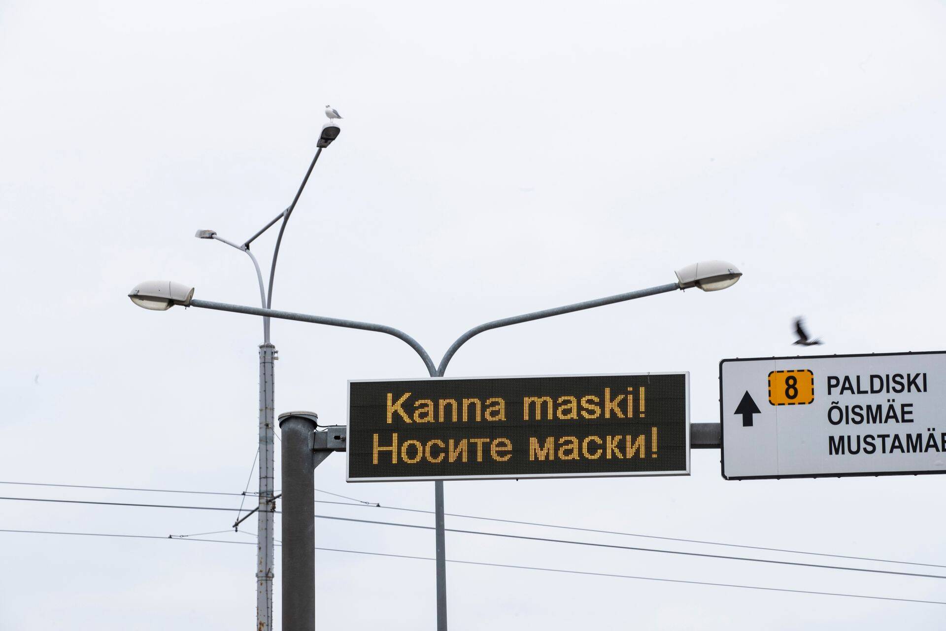 26. augustist tuleb lisaks ühistranspordile kanda maske ka mujal avalikes kohtades.