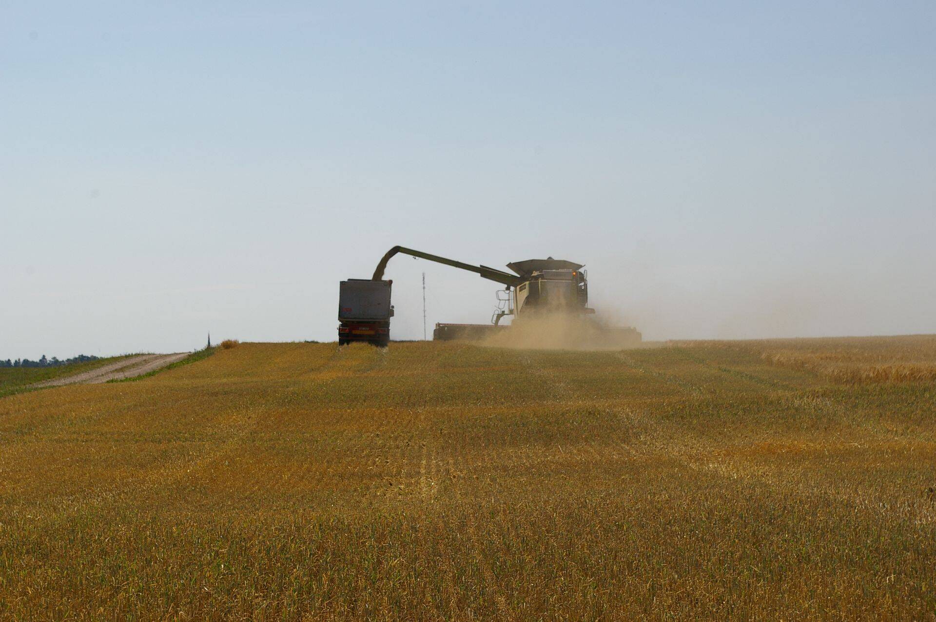 Viljakoristus Lääne-Vrumaal.