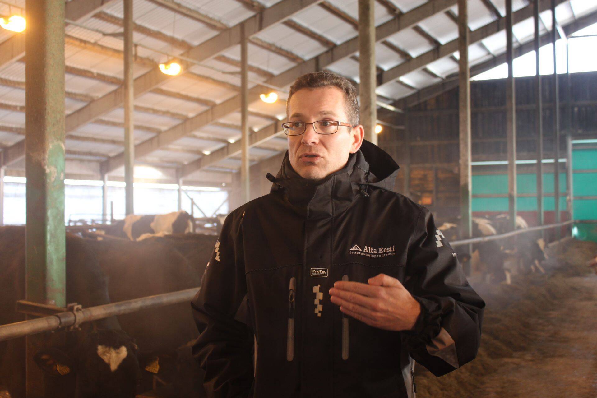 Parim piimakarjakasvataja on Margus Muld