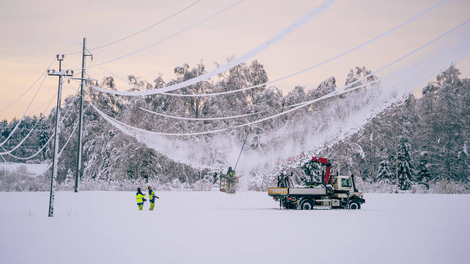Elektriliinidelt lume eemaldamine Palamulla külas Raplamaal