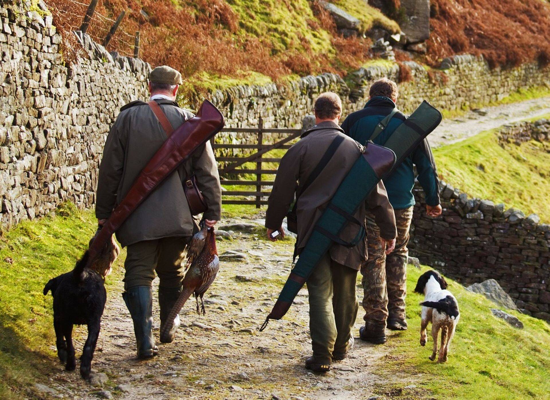 Alanud on jaht paremale palgale ja tööalastele suhetele ning selgetele arenguvõimalustele.