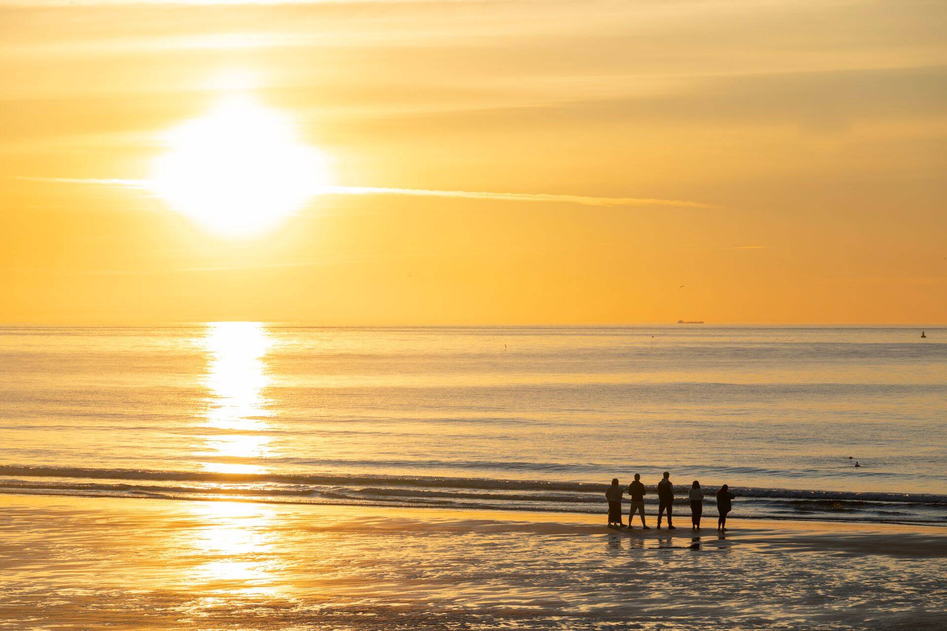 Šīs nedēļas būtiskākie notikumi Baltijas biržā - dividendes, aktuālie apgrozījuma rezultāti u.c.