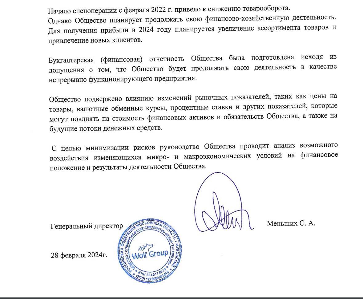 Фото документа, полученного ДВ из официального реестра отчетов компаний Федеральной налоговой службы России.