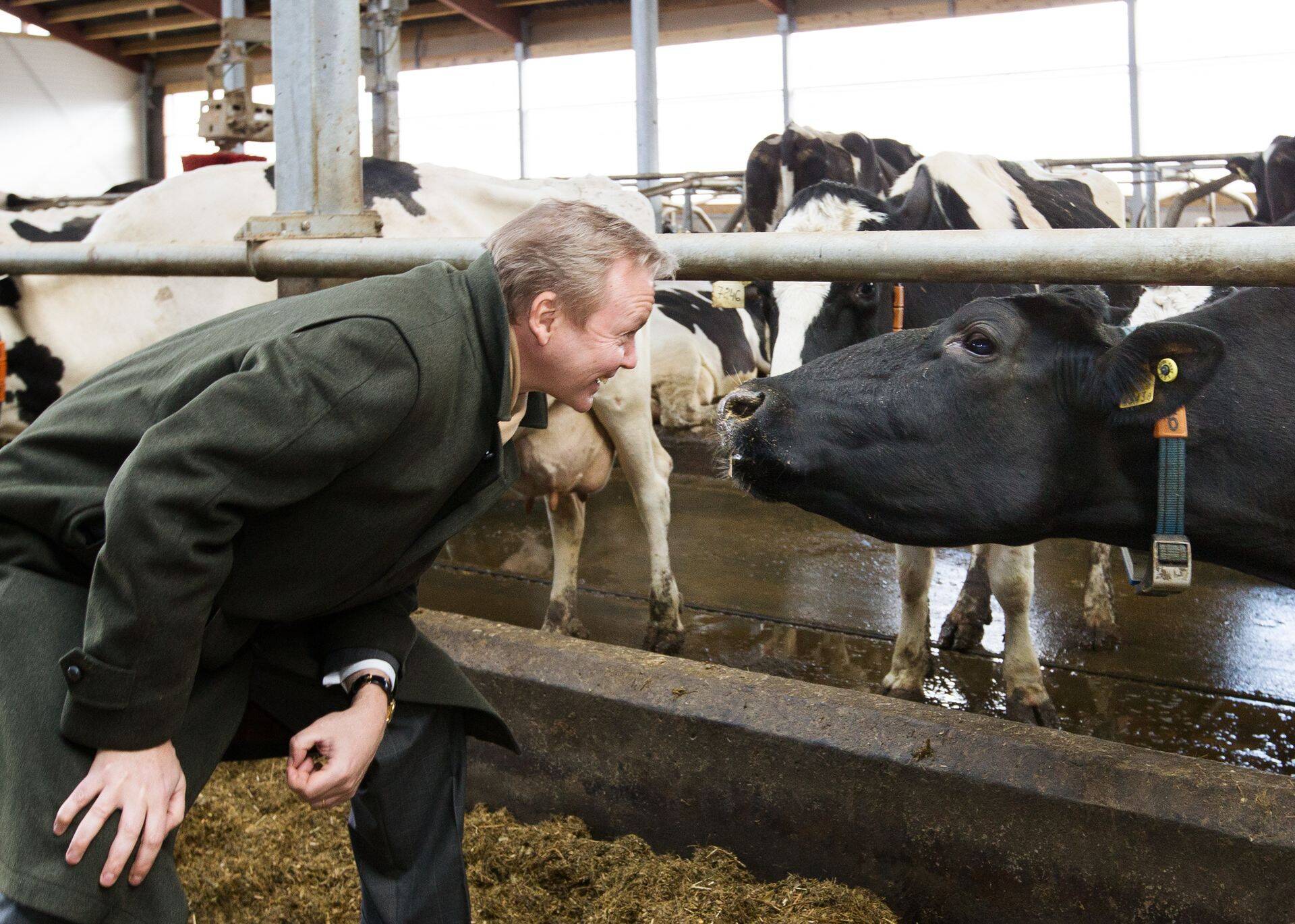 Ärimees Joakim Helenius Väätsa Agro farmis.