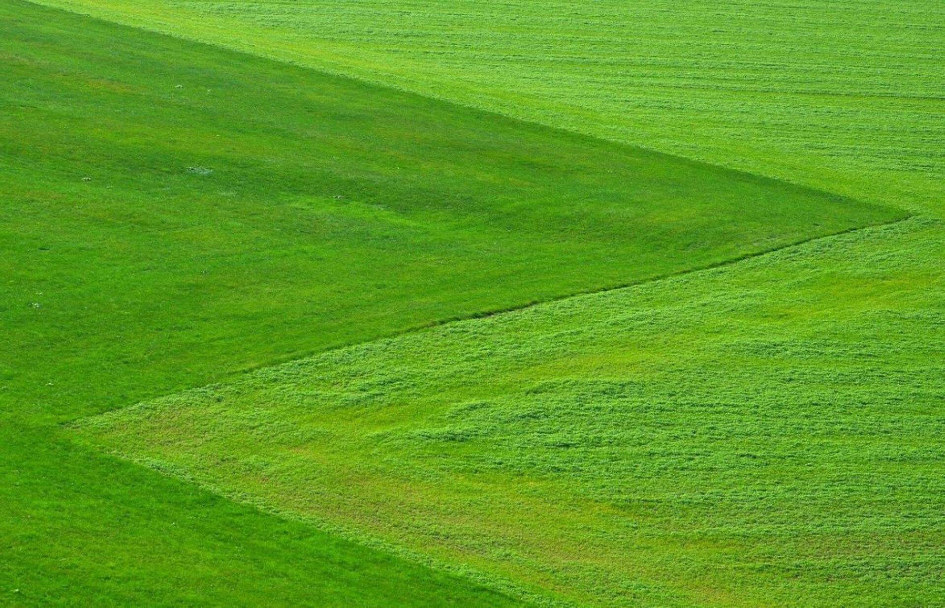 Maaomanikud saavad maamõõduteenust tellides maamõõtja litsentsi olemasolu kontrollida Maa-ameti kodulehelt.