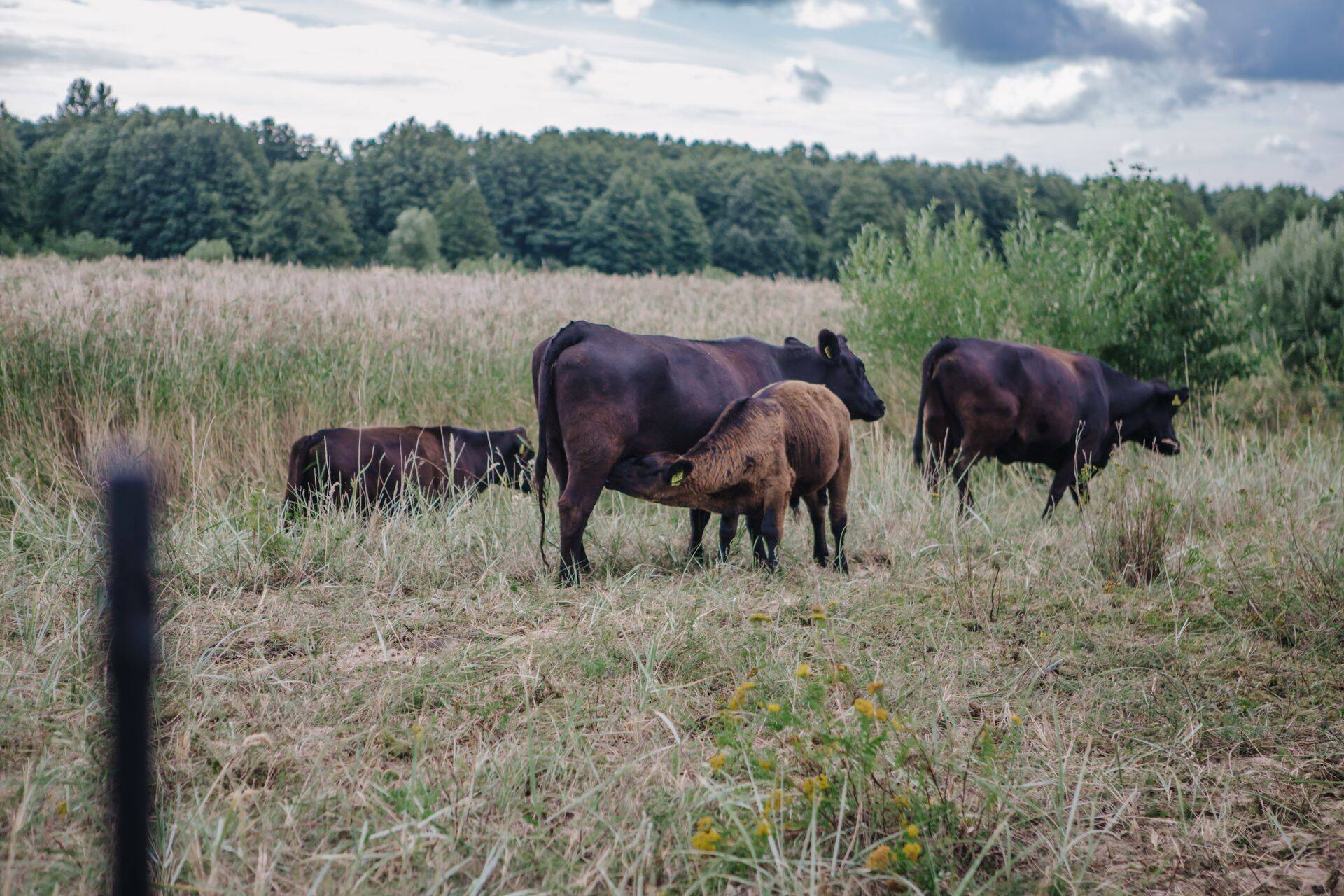 Taludel on kandev roll toidujulgeoleku tagamisel ning üldisemas plaanis kogu maaelu edendamisel.