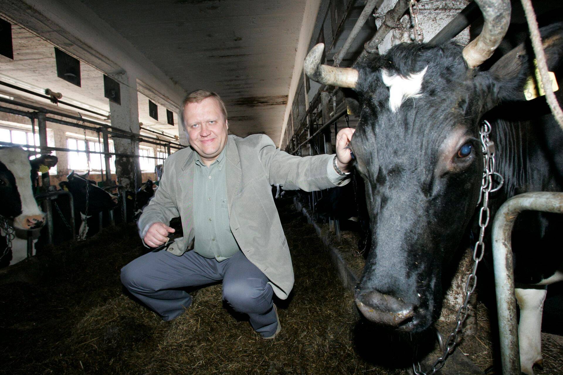 Alo Teder peab küll likvideerima suurema osa oma piimakarjast, kuid tapamajja ta neid viima ei pea, sest loomade ostmise vastu on tuntud huvi nii Eestist kui välismaalt.