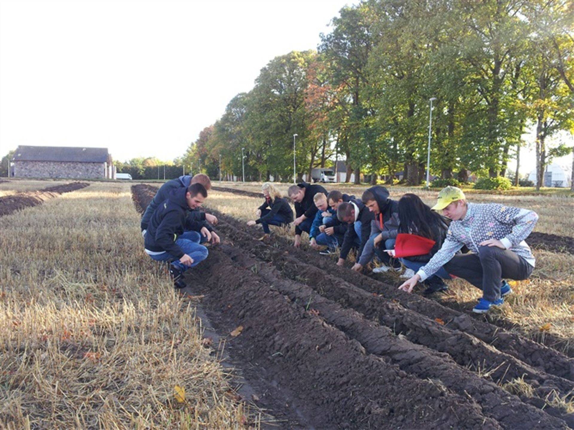 III kursuse põllumehed hindavad esimese künnivao sügavust