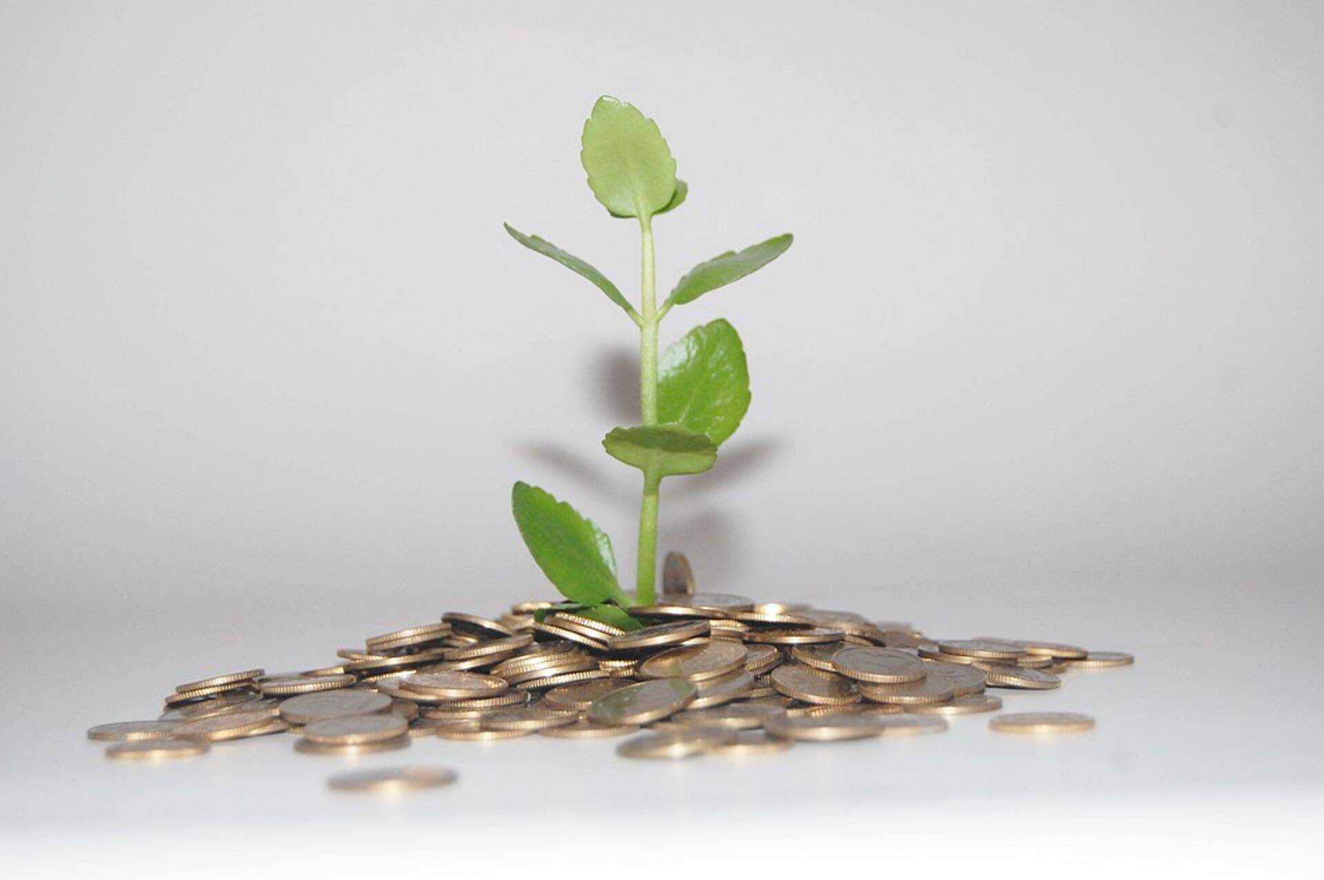 2020. aastal saab ühe kalendriaasta võrra pikendada kohustust, mis võeti 2015. aastal ja mille viieaastane kohustusperiood lõppeb 2019. aastal.