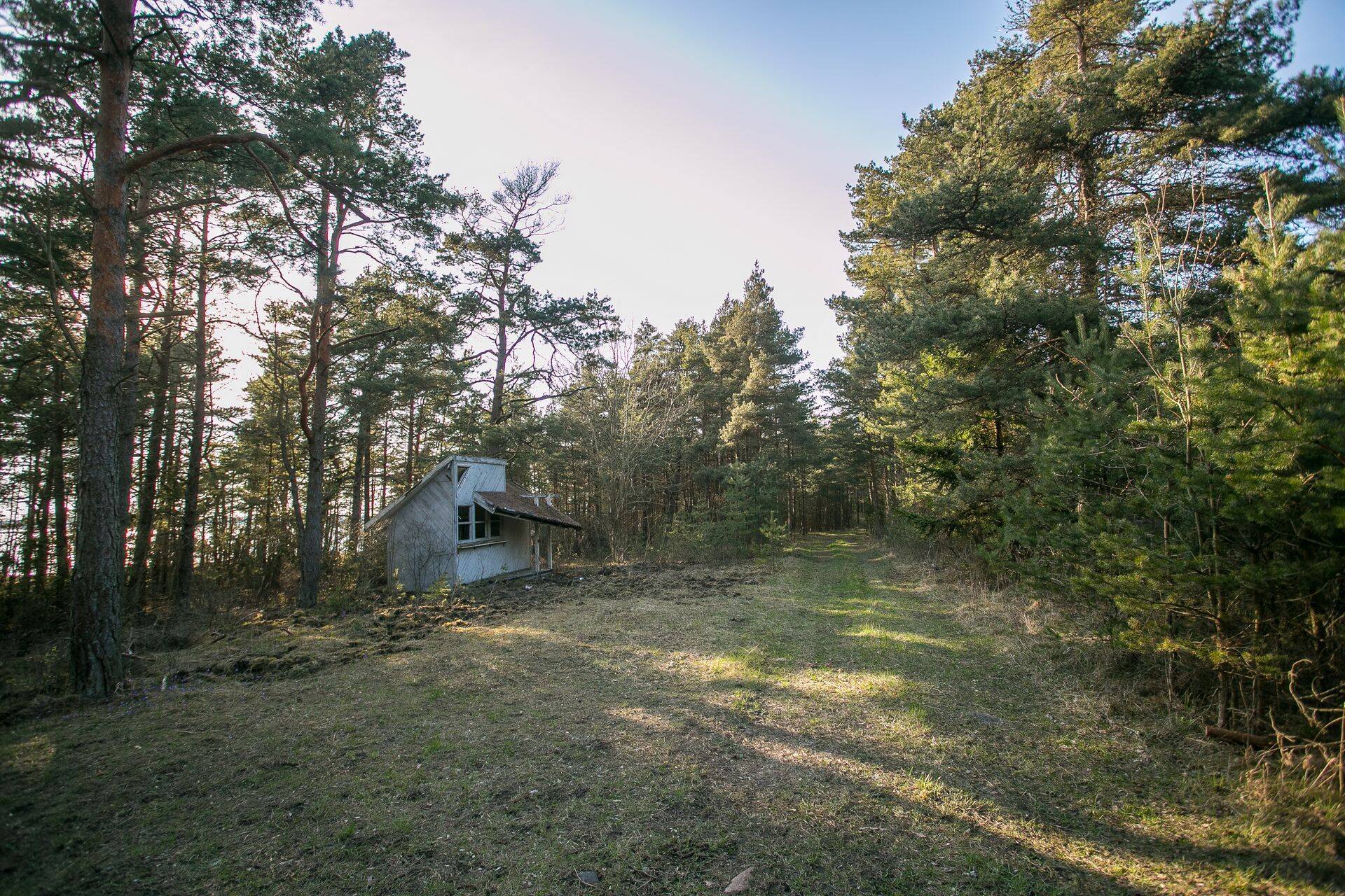 Ihaldusväärne Lülle kinnistu Saaremaal.